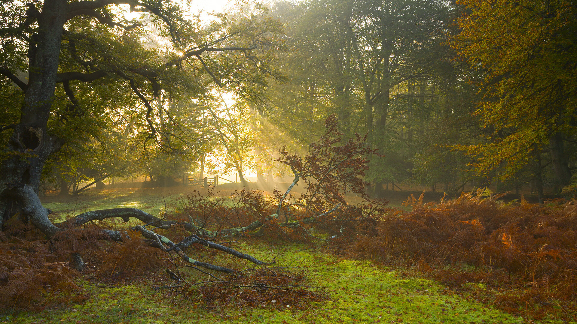 爱游戏-_云端极速跑：虚拟空间中挑战极限_，云端超级云